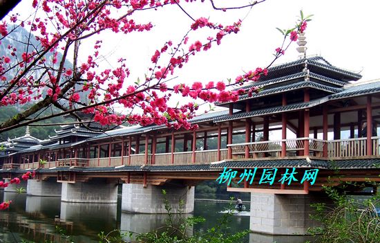 ��̶4A�羰��