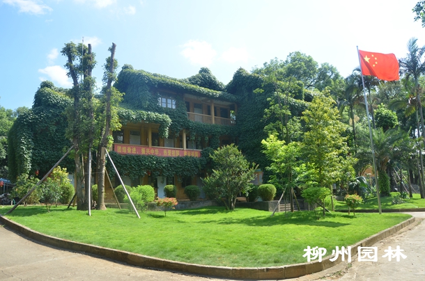 ������԰�ֿ�����