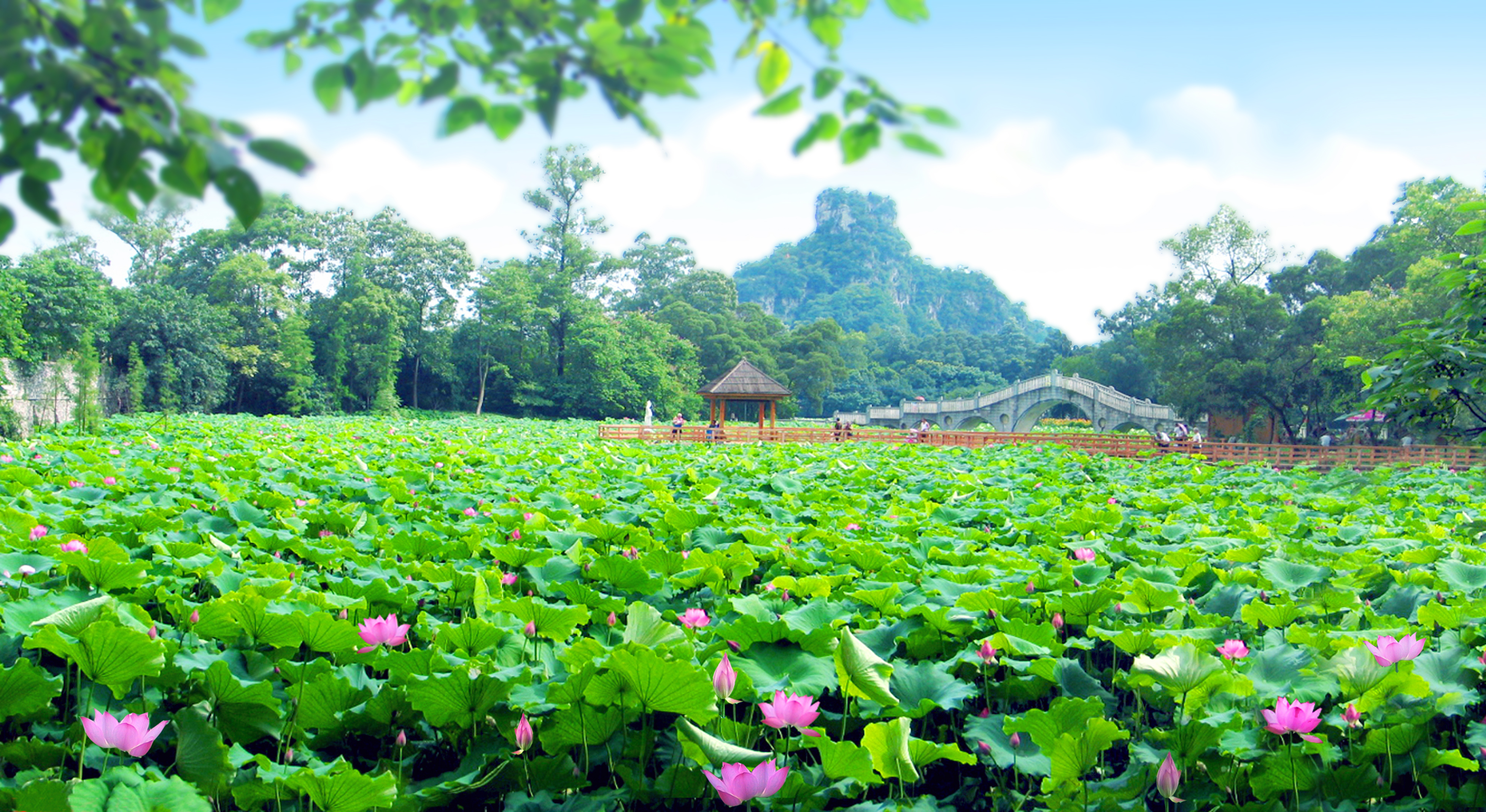 ȸ��ɽ��԰���