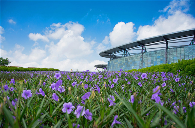 ����԰��԰�������