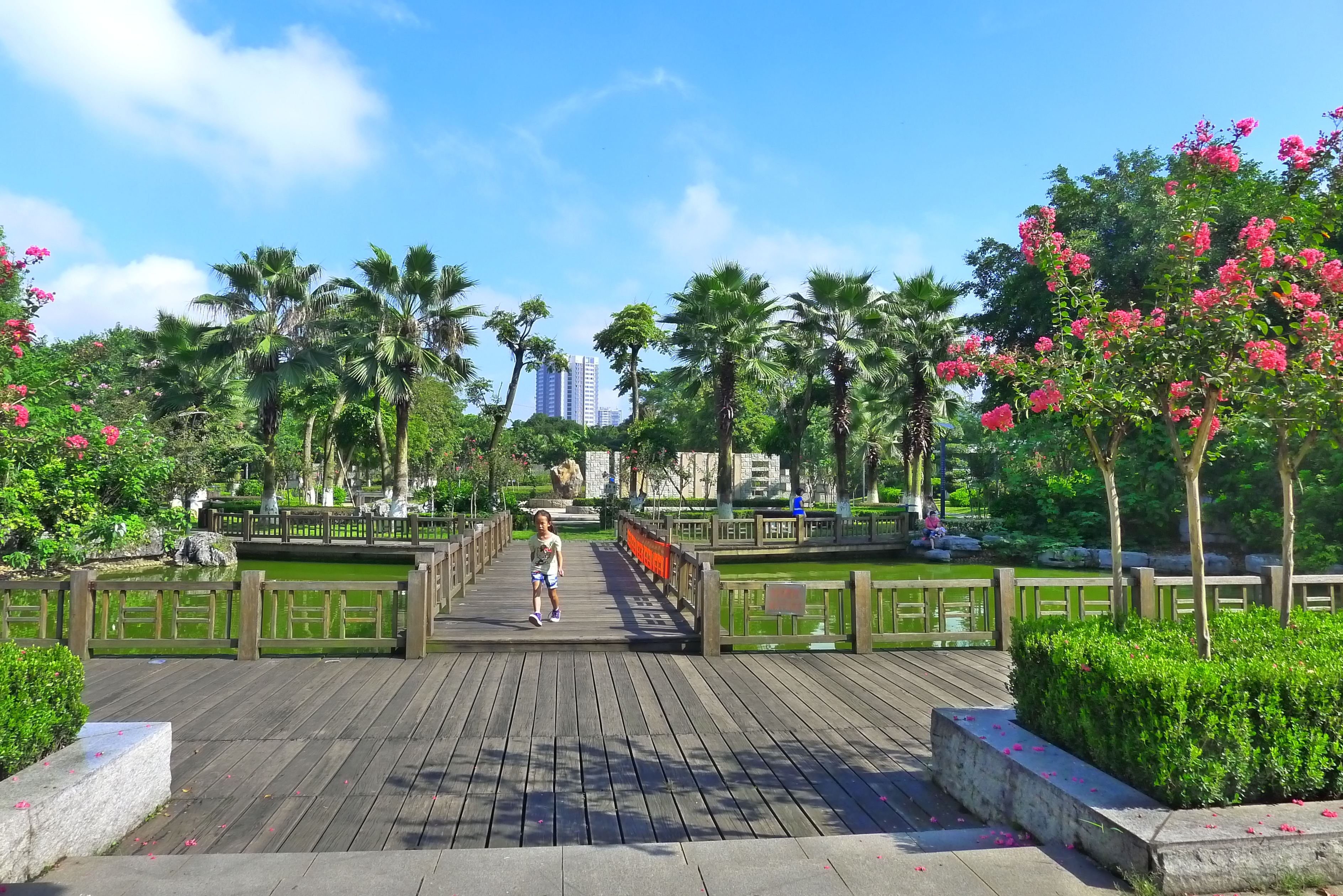 �Ӷ�����---�����Ļ�С��԰